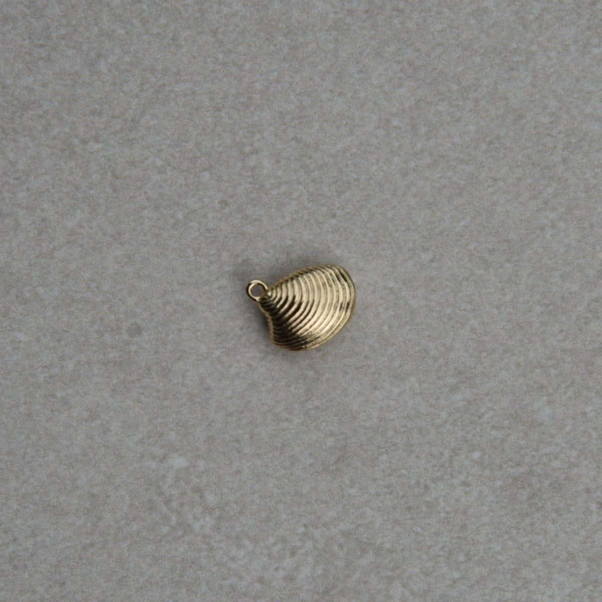 Shell Charm