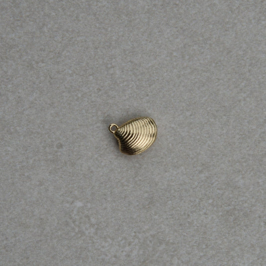 Shell Charm