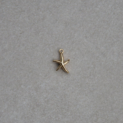 Starfish Charm - Mini