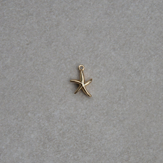 Starfish Charm - Mini