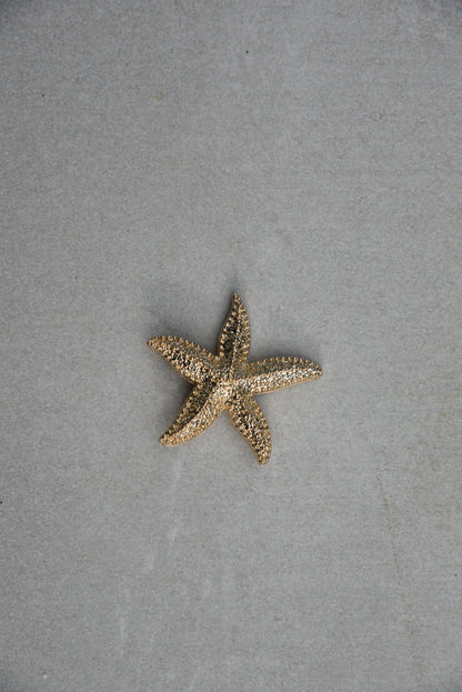Starfish Brooch
