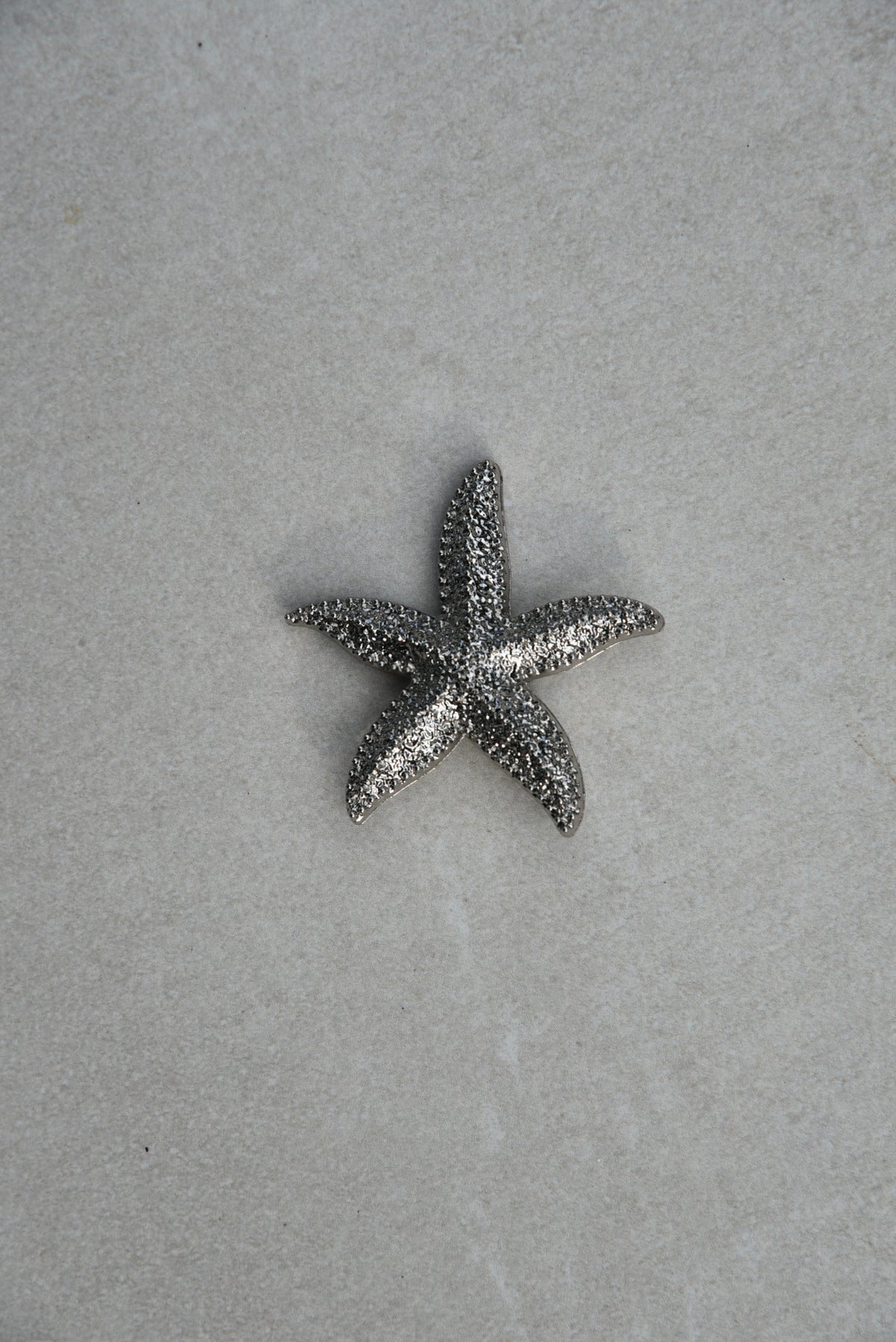 Starfish Brooch
