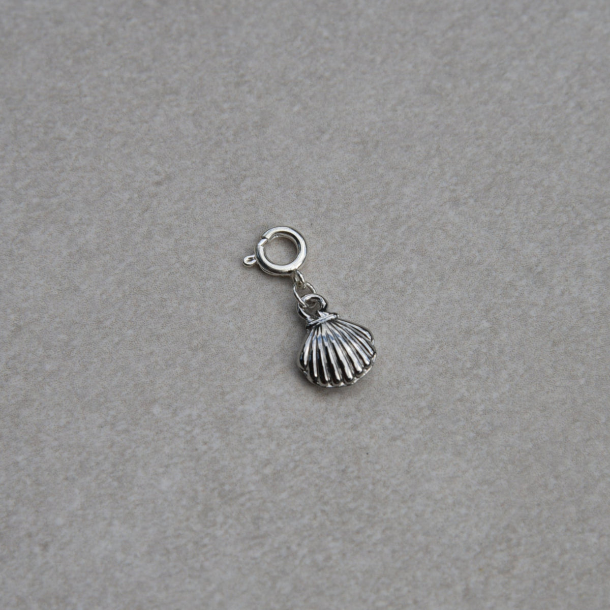 Shell Charm - Mini